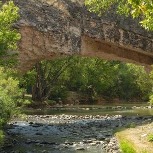 Meet your Posher, Irma